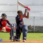 Cricket Bermuda, September 15 2014-13