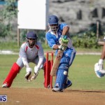 Cricket Bermuda, September 15 2014-2