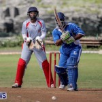 Cricket Bermuda, September 15 2014-3