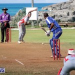 Cricket Bermuda, September 15 2014-4