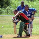 Cricket Bermuda, September 15 2014-8
