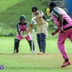 Cricket Bermuda, September 21 2014-008