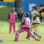 Cricket Bermuda, September 21 2014-013