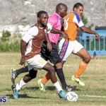 Football Bermuda, September 15 2014-15
