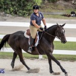 Horse Show Bermuda, September 2014-1