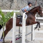 Horse Show Bermuda, September 2014-5