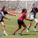 Rugby Bermuda, September 13 2014-2