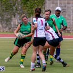 Rugby Bermuda, September 13 2014-20