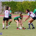 Rugby Bermuda, September 13 2014-22