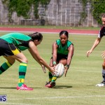 Rugby Bermuda, September 13 2014-29