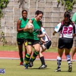 Rugby Bermuda, September 13 2014-31