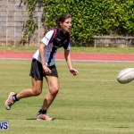 Rugby Bermuda, September 13 2014-4