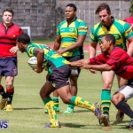 Rugby Bermuda, September 13 2014-43