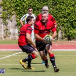 Rugby Bermuda, September 13 2014-47