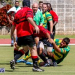 Rugby Bermuda, September 13 2014-51