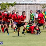 Rugby Bermuda, September 13 2014-52