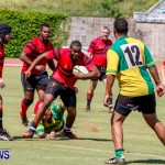Rugby Bermuda, September 13 2014-59