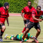 Rugby Bermuda, September 13 2014-60