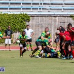 Rugby Bermuda, September 13 2014-64
