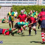 Rugby Bermuda, September 13 2014-71