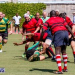 Rugby Bermuda, September 13 2014-72