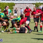 Rugby Bermuda, September 13 2014-73