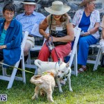 Blessing Of The Animals Service Bermuda, October 5 2014-17