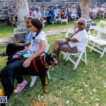 Blessing Of The Animals Service Bermuda, October 5 2014-19