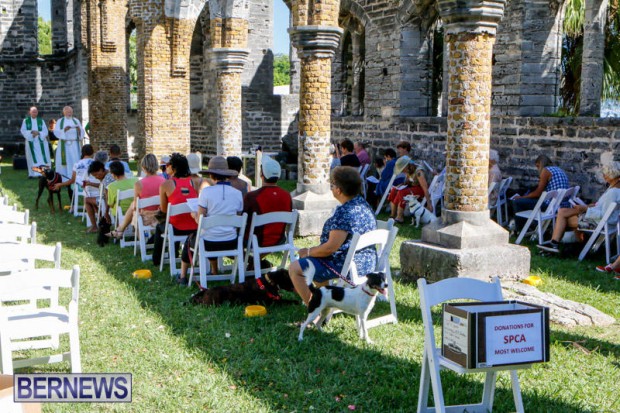 Blessing Of The Animals Service Bermuda, October 5 2014-24