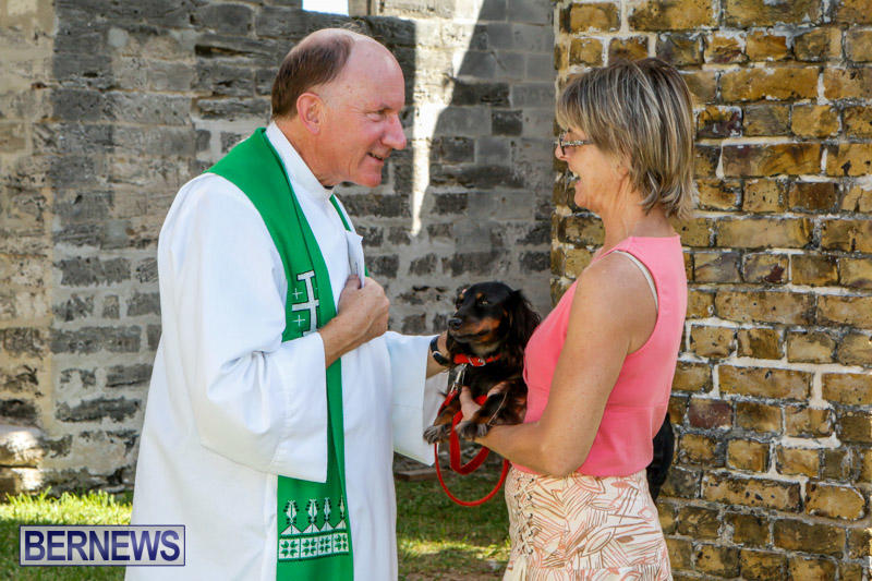 Blessing-Of-The-Animals-Service-Bermuda-October-5-2014-32