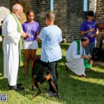 Blessing Of The Animals Service Bermuda, October 5 2014-34