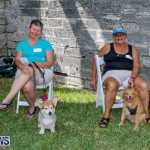 Blessing Of The Animals Service Bermuda, October 5 2014-5