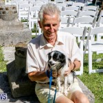 Blessing Of The Animals Service Bermuda, October 5 2014-7