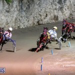Harness Pony Racing Bermuda, October 3 2014-11