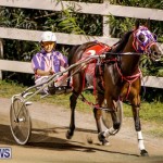 Harness Pony Racing Bermuda, October 3 2014-17