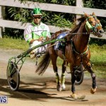 Harness Pony Racing Bermuda, October 3 2014-18
