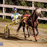 Harness Pony Racing Bermuda, October 3 2014-2