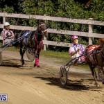 Harness Pony Racing Bermuda, October 3 2014-4