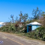 Hurricane Gonzalo Bermuda, October 18 2014-49