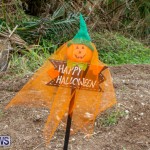 J&J Produce Halloween Pumpkin Picking  Bermuda, October 25 2014-33