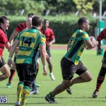 Rugby Bermuda, October 4 2014-8
