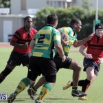 Rugby Bermuda, October 4 2014-9