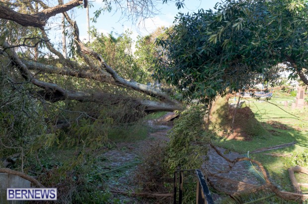 Victoria Park Bermuda after Storm Fay 2014 (1)