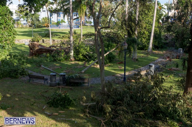 Victoria Park Bermuda after Storm Fay 2014 (10)