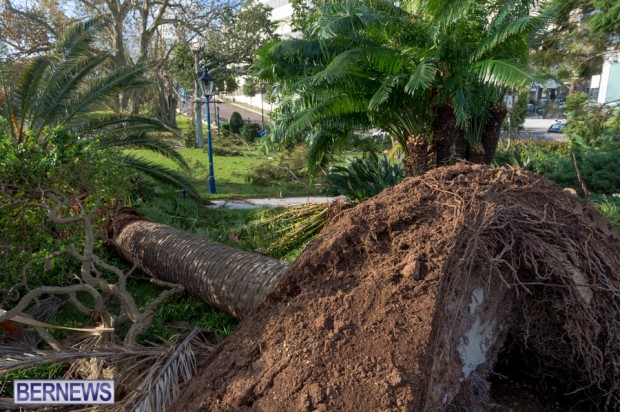 Victoria Park Bermuda after Storm Fay 2014 (11)