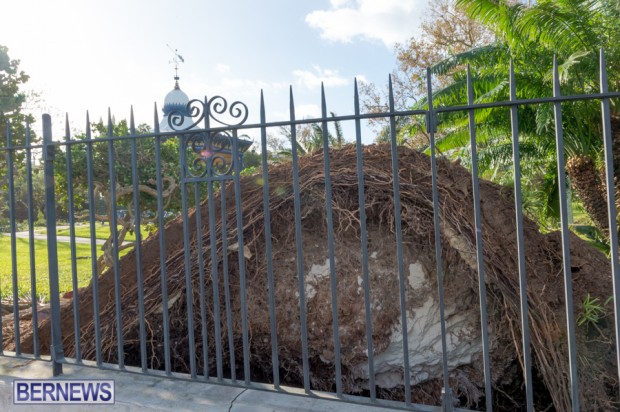 Victoria Park Bermuda after Storm Fay 2014 (3)