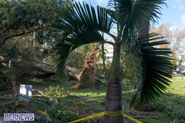 Victoria Park Bermuda after Storm Fay 2014 (4)