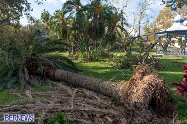 Victoria Park Bermuda after Storm Fay 2014 (6)