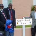 Clyde Best Lane Bermuda, November 1 2014-25