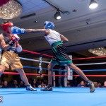Friday Night Fights Bermuda Nov 21 2014 (33)